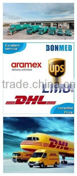 Customized colorful painted metal pin buckle ,Nickle free Cadmium free quality