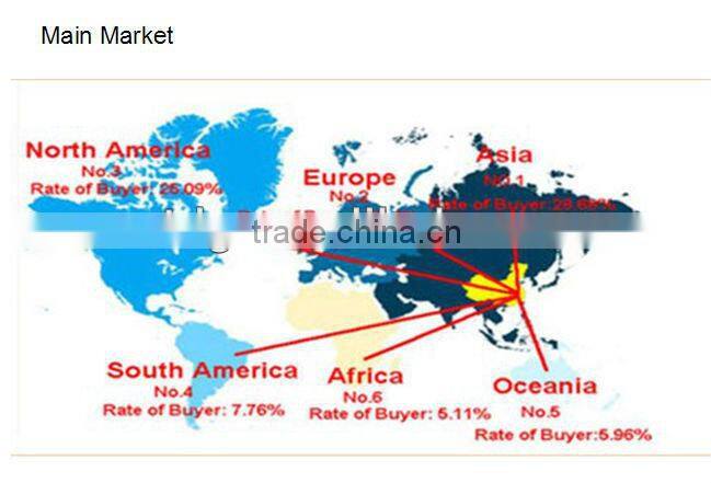 China top ten manufacturer of LED wall light 80W