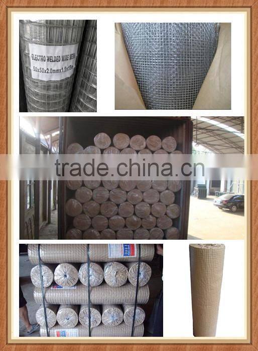 new product Galvanized welded wire mesh/ welded wire mesh fence for sale