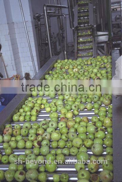 complete pear fruit juice processing line