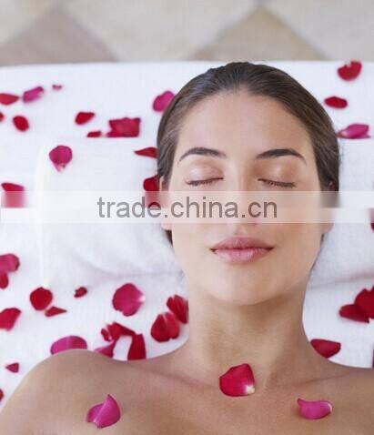 GTO newest skin cooling ice roller