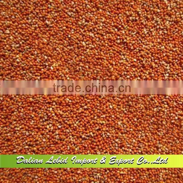 Red Millet 2013 Crop Brids Food