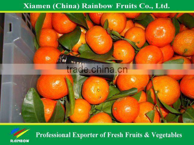 Shatang Mandarin