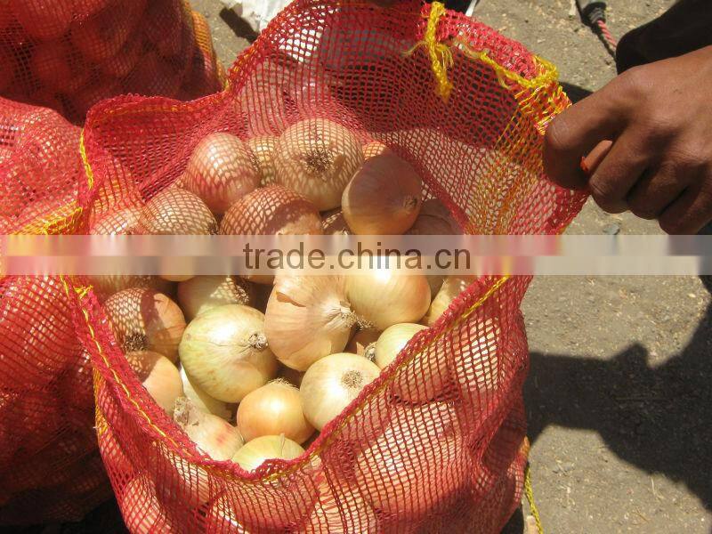 onion ( Red - Yellow - White - spring onion )
