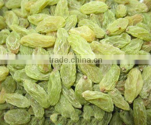 HIGH QUALITY INDUSTRIAL RAISIN
