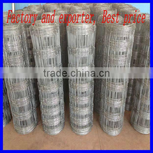 Supply high quality grassland field fence with best price (20 years factory with ISO 2008)