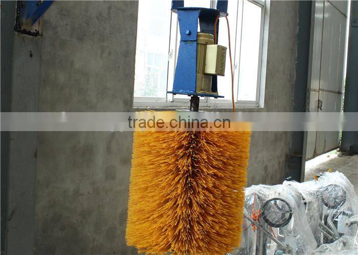 Cheap Electric Motor Cow Body Brush with Price