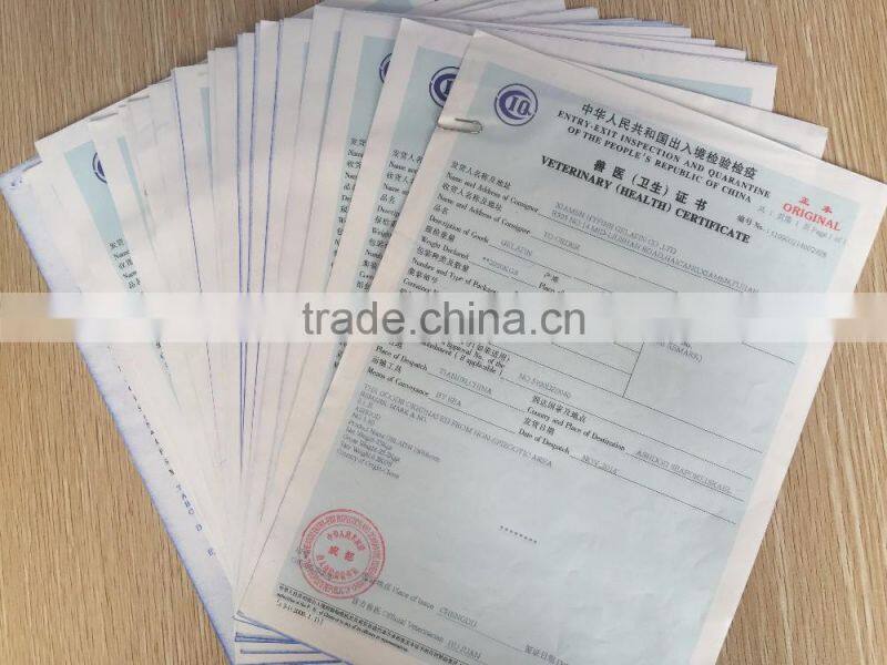 industrial gelatin/technical gelatin glue for french plaster