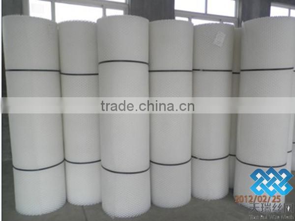 plastic plain net /plastic flat net