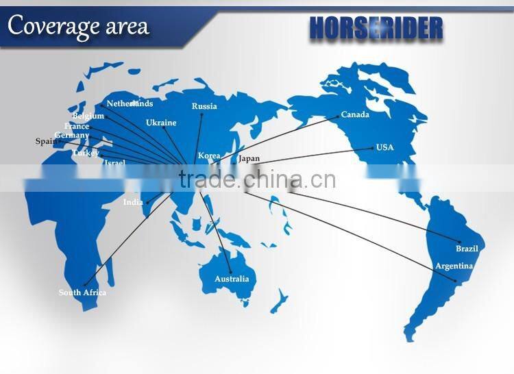 Horse Rider Machinery PVC Plastic Carpet Extrusion Line Manufacturer