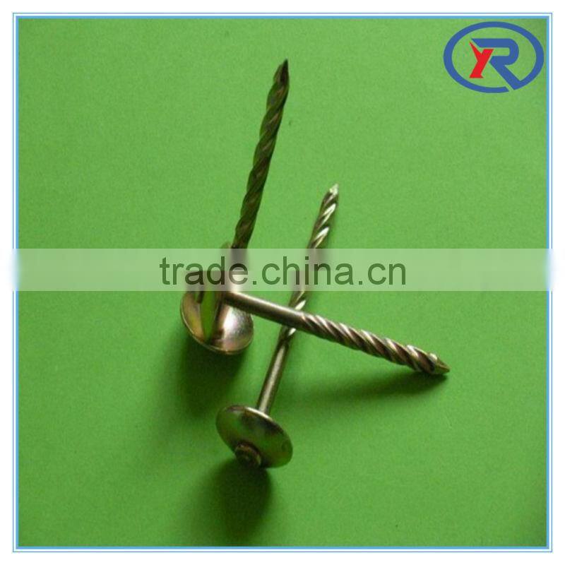 trade assurance umbrella roofing nails with twist shank 2'' 2.5'' 3'' from china