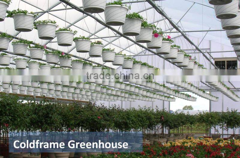 RoughBrothers Coldframe Series Galvanized Steel Frame Vegetable Tunnel Plastic Greenhouse