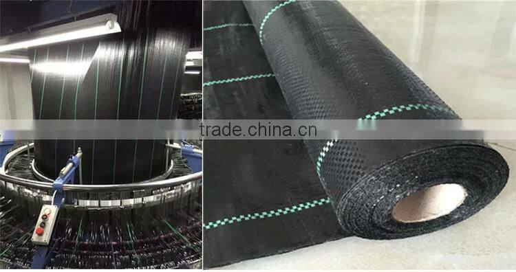 Woven grass geotextile mat