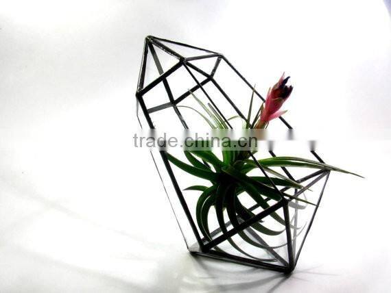 A Stained Geometric Crystal Terrarium
