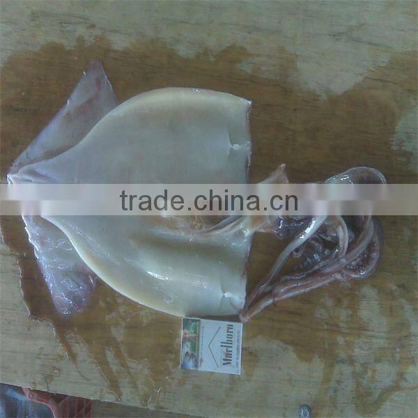 new season iqf wholesale seafood