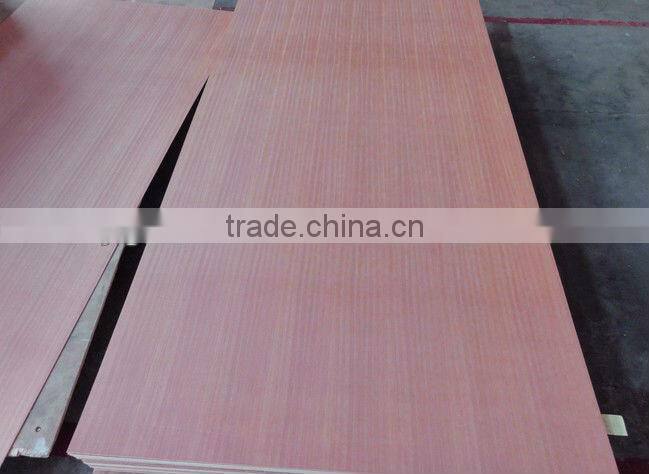 Beech venner MDF sheet price