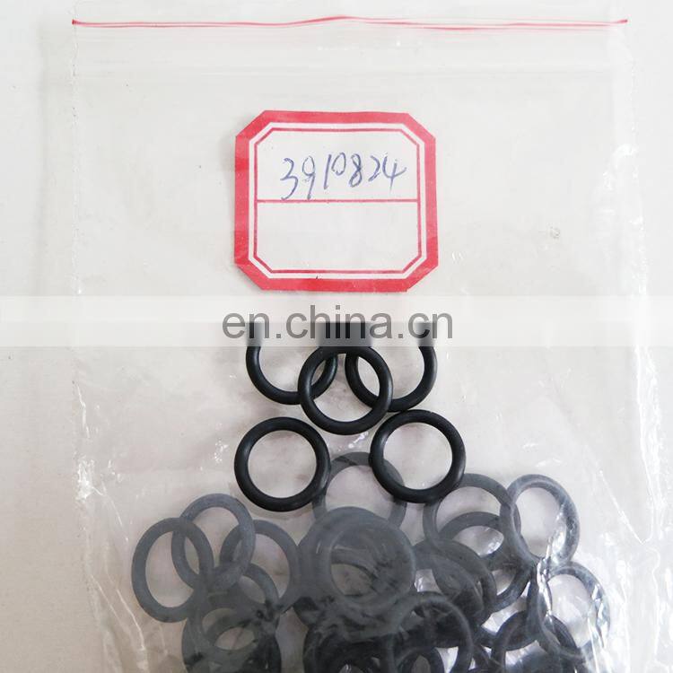 Original/aftermarket 6CT Diesel Engine Parts O-Ring Seal 3910824 O-Ring Seal