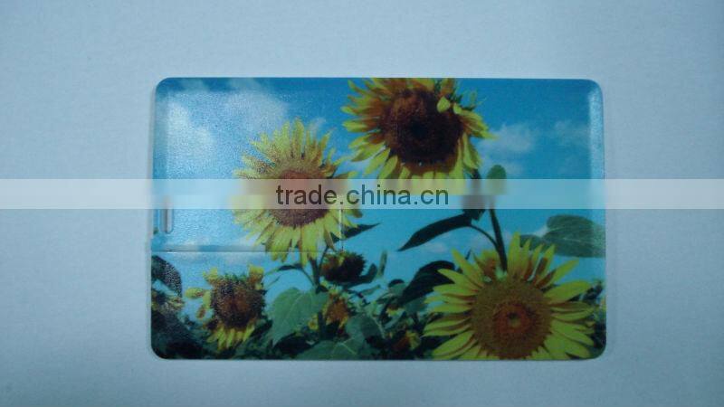 Hot card usb 4Gb in 2013 with free logo