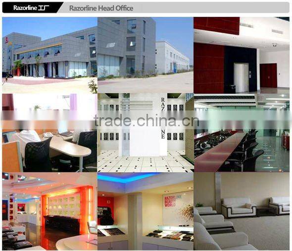 Razorline HSK48 Original HITACHI Steel Chinese Style Hair Scissor