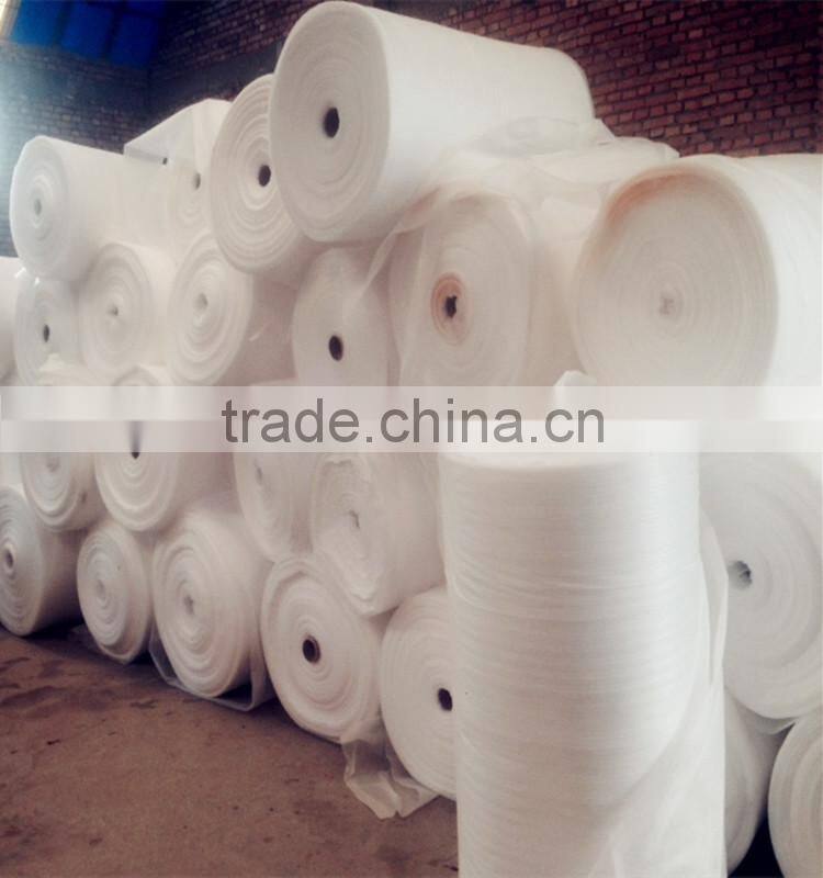 PE Plastic Packaging Pear Tray