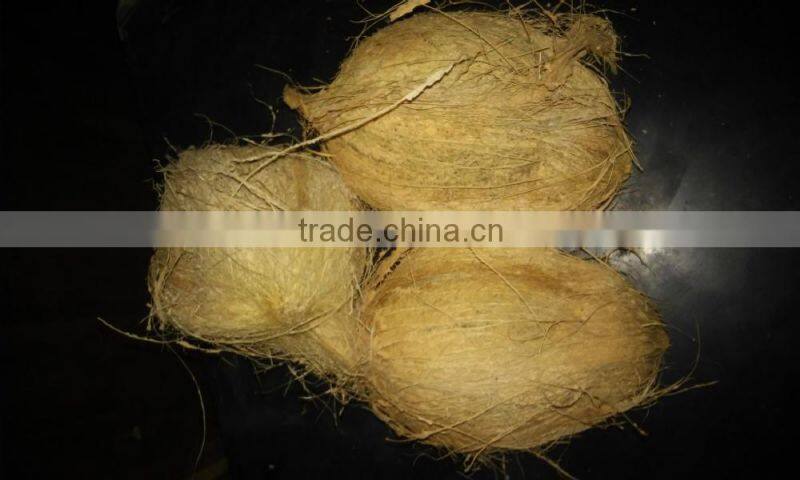 semi husked coconut price in india