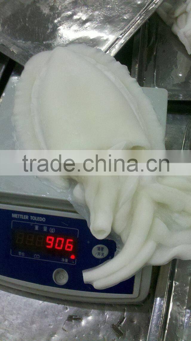 Full cleaned cuttlefish