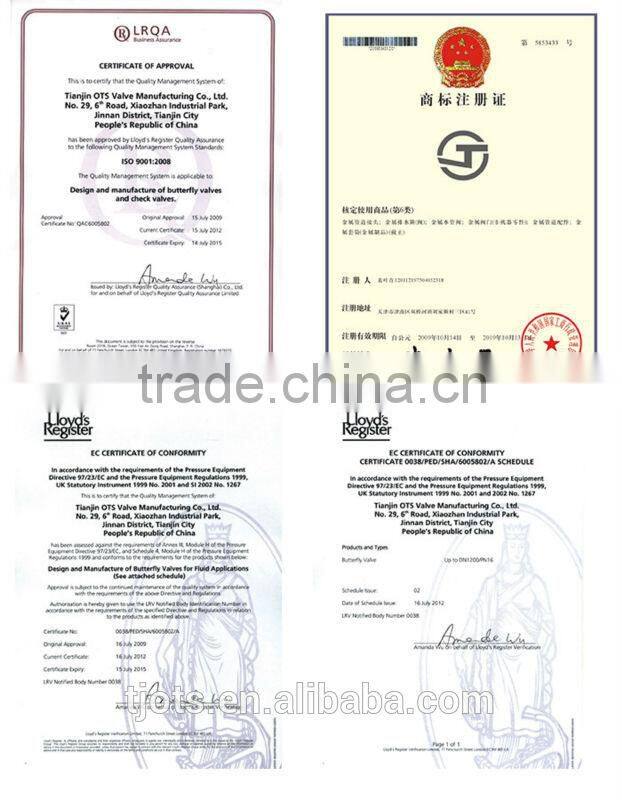 BV-DS071 EN API flange eccentric high performance butterfly valve