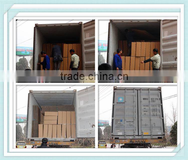 Sports Fitness Elliptical Exercise Bike Drive Belt Outdoor Gym Machine