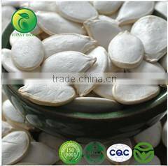 where can you buy goji berries-best selling products in europe