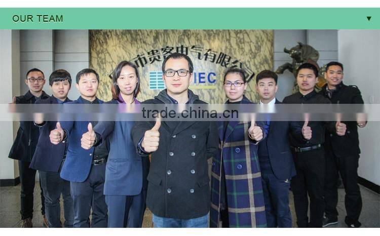 GWIEC Wenzhou Wholesale Products Automotive 660V 25KA 3P 630A Mccb Types Circuit Breaker