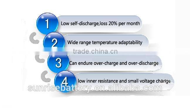 24V 2*10ni-cd SC2000 rechargeable battery