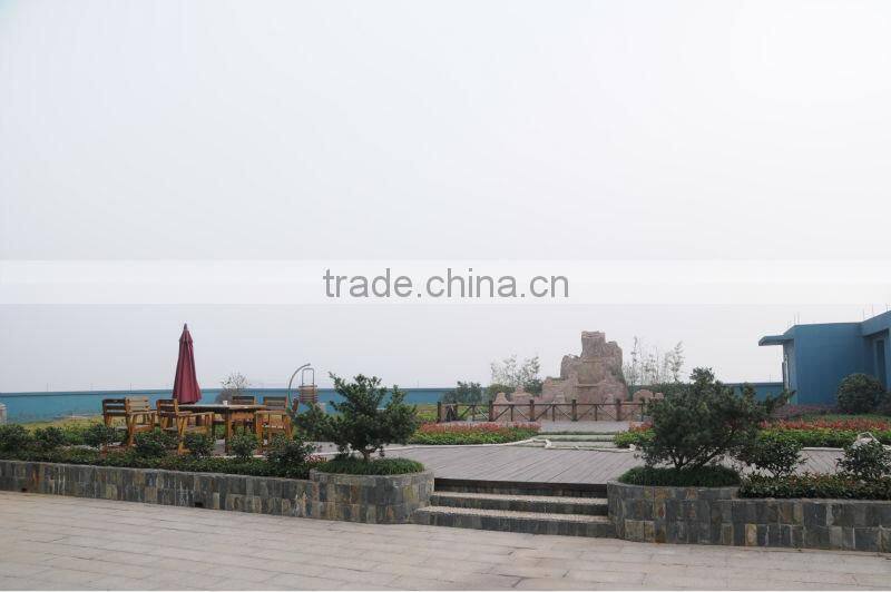 125mm Angle Grinder--R5030