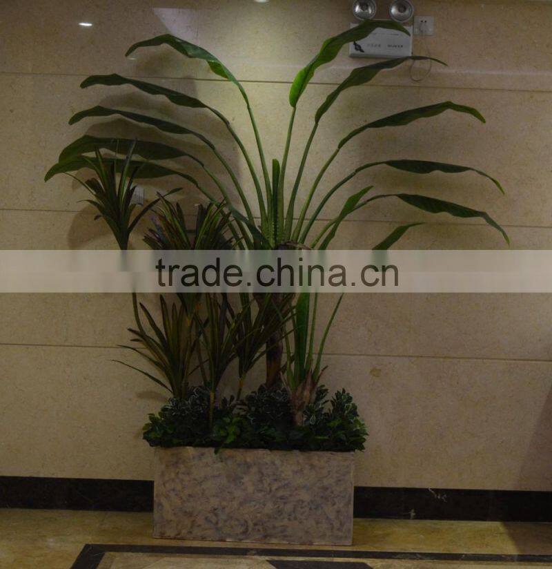 Evergreen Artificial Strelitziaceae Plant