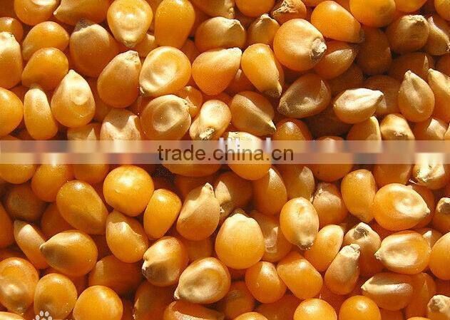 ANON manual seeder planter machine gardening planter mini seeder