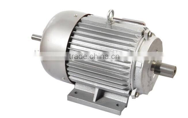 IEC standard 3 phase industrial motor