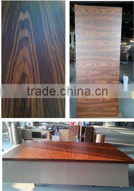 Luxury Rosewood Sliding Type Italian Door Design