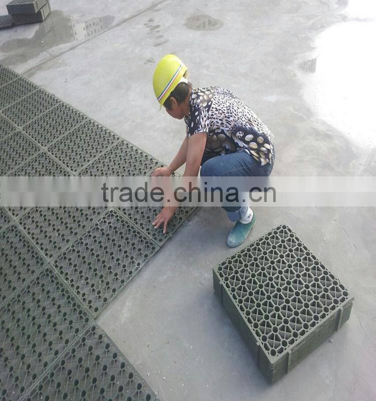 Plastic Grass Paver