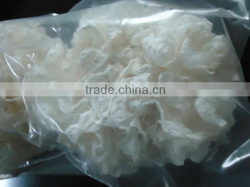 Modern good quality gzls 20d series food freeze dryer