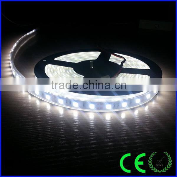 high brightness white color 5050 underwater led strip