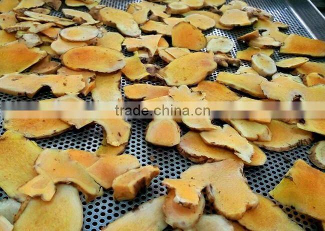 Dried Thai herbal medicine Plai herbal product (Essential oil)