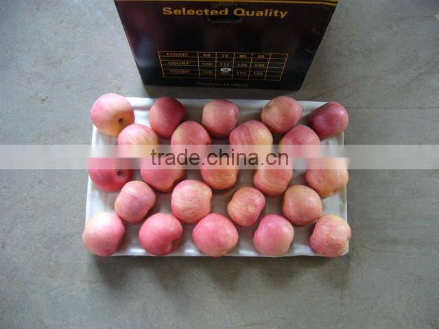 2015 good taste fresh apples