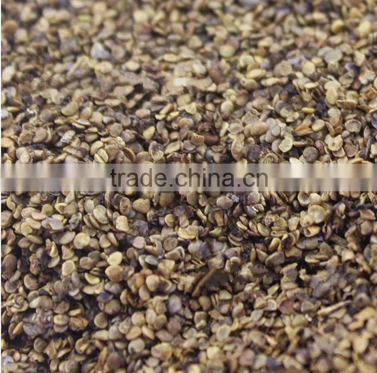 Chinese Black goji berry seed High survival rate