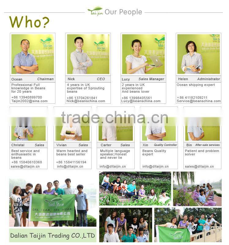 Export green mung bean production,mung bean price