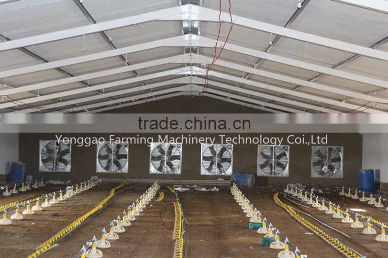 drinkers for chickens,automatic drinker for chicken