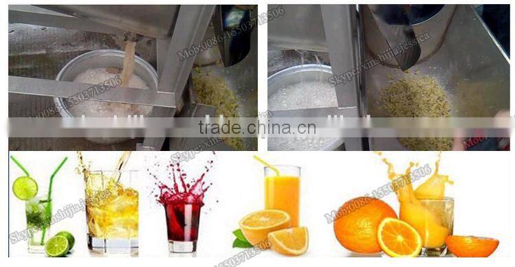 Commercial stainless steel fruit juice extractor
