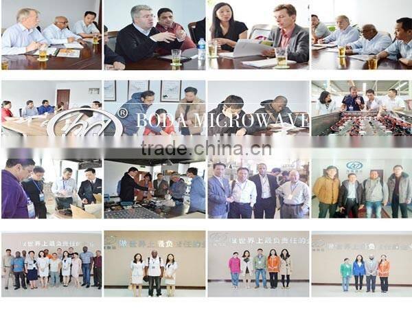 New technology Microwave turmeric drying machine