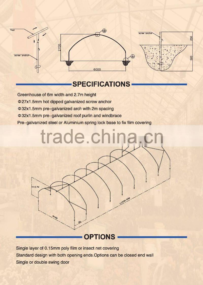 Plastic film low cost galvanized greenhouse