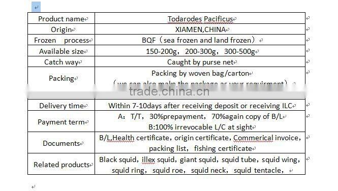 fishing lure of japanese squid