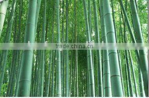 2015 hot sale bamboo salad bowl