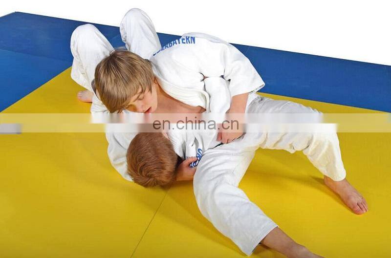 Style Arts Martial BJJ Judo Tatami Mat